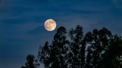 2026 Mart Dolunayı Tarihi ve Saati Açıklandı: Burçlara Etkileri Neler?