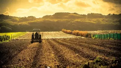 2026 Mazot ve Gübre Desteği Ödemeleri Başladı: Çiftçiler e-Devlet'ten Sorguluyor