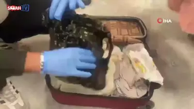 25 İlde Büyük Uyuşturucu Operasyonu: 255 Gözaltı, 3 Milyon Hap Ele Geçirildi