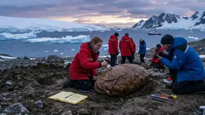 Antarktika'da Keşfedilen Gizemli Fosil: Dev Yumurta Bilim Dünyasını Şaşırttı