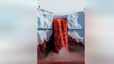 Antarktika'nın 'Kan Şelalesi' Gizemi Nihayet Çözüldü: 100 Yıllık Sır Açığa Çıktı