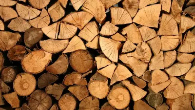 Bilim İnsanları Ahşap Atıkları Yakıta Dönüştüren Çığır Açıcı Yöntem Geliştirdi