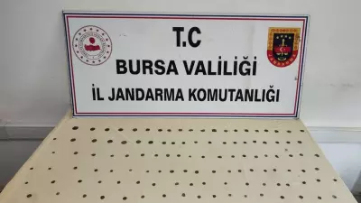 Bursa'da Tarihi Eser Operasyonu: 137 Sikke Ele Geçirildi, 2 Şüpheli Gözaltında