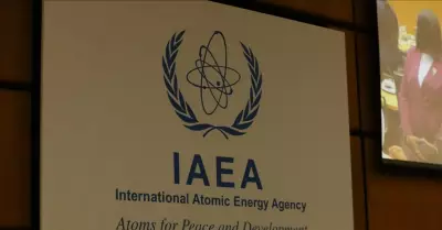 IAEA Başkanı Grossi: İran'ın Nükleer Programı Geçici Olarak Askıya Alınabilir