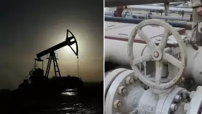 Irak Petrol Bakan Yardımcısı: Savaş Petrol Faaliyetlerini Durdurdu