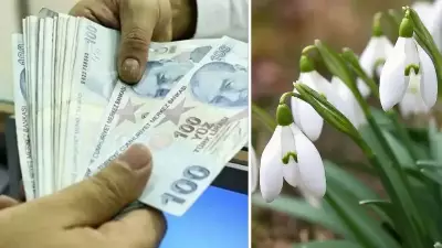 Kardelen Koparana 700 Bin TL'ye Yakın Ceza Geliyor: 2026'da Yürürlükte