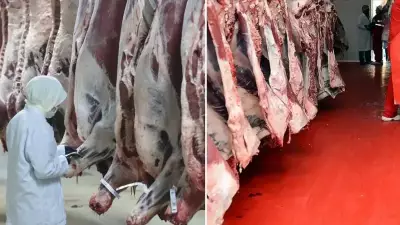 Karkas Et Fiyatlarında Manipülasyon Operasyonu: 33 Kişi Hakkında Gözaltı