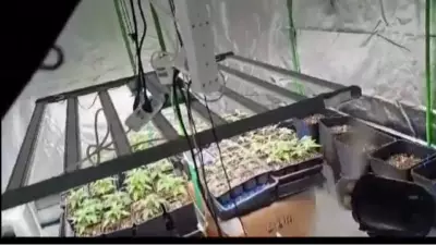 Kocaeli'de Uyuşturucu Operasyonu: 40 Adrese Baskın, 36 Gözaltı