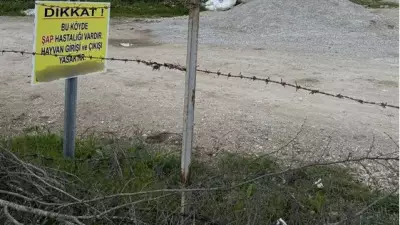 Kütahya'da Şap Hastalığı Alarmı: 15 Köy Karantinaya Alındı