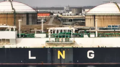LNG İthalatçısı Ülkeler Alternatif Tedarik Kaynaklarına Yöneliyor