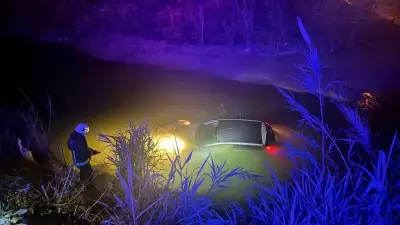 Manavgat'ta Kontrolden Çıkan Otomobil Dereye Uçtu: Sürücü Yaralandı