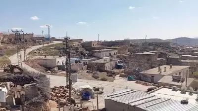 Mardin'de Kuduz Şüphesi: Bir Mahalle Karantinaya Alındı