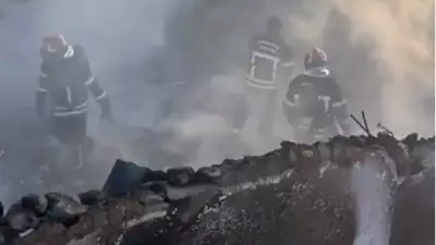 Osmaniye'de Çiftlik Yangını: 128 Hayvan Telef Oldu, Büyük Maddi Hasarlar Meydana Geldi