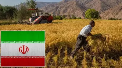 İran, ABD ve İsrail Saldırıları Nedeniyle Gıda ve Tarım İhracatını Yasakladı