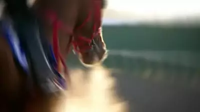 Sakatlanan Yarış Atı Kavurma Yapıldı İddiası: Sahibi 'Izdırap Duyuyorum' Dedi