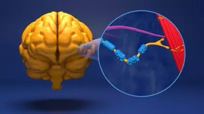 Sessiz Tehlike ALS: Kaslar Duruyor, Hastalık Durmuyor!