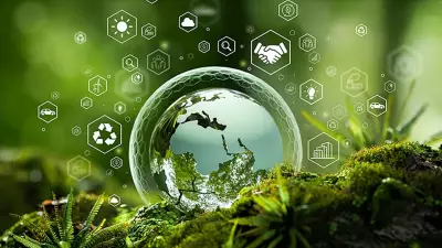 Sıfır Atık Hareketi'nde Büyük Başarı: 55 Bin Futbol Sahası Alanı Korundu