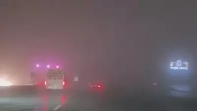 İstanbul'da Yoğun Sis Etkili Oldu: Sürücüler İkaz Lambalarıyla İlerledi