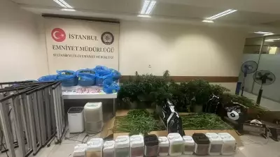 Sultanbeyli'de Evde Kurulan Sera Düzeneği ile Uyuşturucu Operasyonu