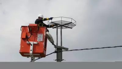 Trakya'da Leylekler İçin 1000 Platform Kuruldu, Göç Yolları Güvence Altında