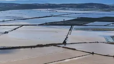 Türkiye'de Tarım Sezonunda Yağış Rekoru: Geçen Yıla Göre Yüzde 75 Artış