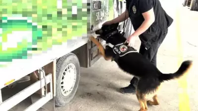 Van'da Kamyonette 90 Kilo Uyuşturucu Ele Geçirildi, Bir Şüpheli Gözaltında