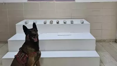 Van'da Operasyon: 1 Kilo 256 Gram Uyuşturucu Ele Geçirildi