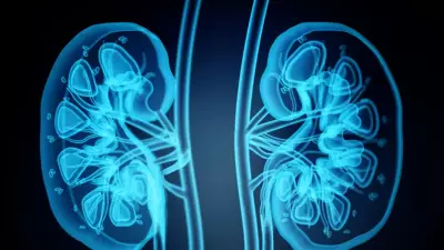 Van'da Taş Hastalığı Alarmı: Böbrek Kayıpları Artıyor