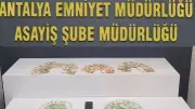 Antalya'da Sahte MİT Görevlisi Dolandırıcılık Girişiminde Suçüstü Yakalandı