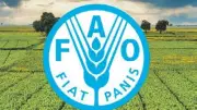 FAO'dan Kritik Uyarı: Hürmüz Boğazı Kapanırsa Küresel Gıda Krizi Kapıda