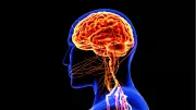 Migrenin Beyindeki Gizemi Çözüldü: Görsel İşlemleme ve Ağrı Mekanizmaları İlişkisi Kanıtlandı