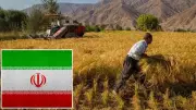 İran, ABD ve İsrail Saldırıları Nedeniyle Gıda ve Tarım İhracatını Yasakladı