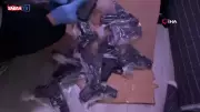 İstanbul'da Gözaltına Alınan Şüphelinin Evinden ve Aracından 50 Tabanca Ele Geçirildi