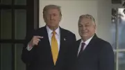 Trump'tan Macaristan Başbakanı Orban'a Seçim Öncesi Tam Destek Mesajı