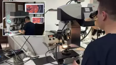 15 Yıllık Faili Meçhul Cinayet Çözüldü: Katil Zanlısı DNA İle Yakalandı