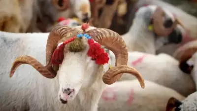 2026 Kurban Bayramı Tatili Ne Zaman, Kaç Gün Sürecek?