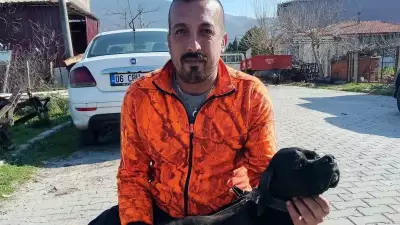AK Partili Kişili'den İzmir'deki Ölümlü Kazaya Sert Tepki: İş Kazası Değil, Cinayet!