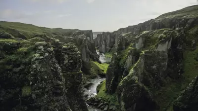 Şaka Değil Gerçek! Kötü Fotoğraf Çekene 43 Bin Euro Maaş Teklifi!