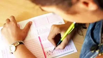 AÖL 2. Dönem Sınav Sonuçları Açıklandı! MEB Duyurdu: İşte Tarih ve Sorgulama Detayları