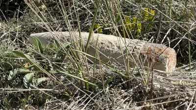Ankara'da Mantar Ararken Top Mermisi Buldu: Korku Dolu Anlar