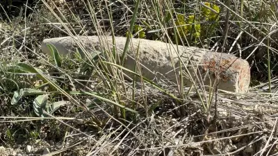 Ankara'da Mantar Toplarken Top Mermisi Buldu, Kontrollü İmha Edildi