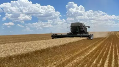 Bahçeleri İstila Eden Asya Sıçrayan Solucanı Alarmı