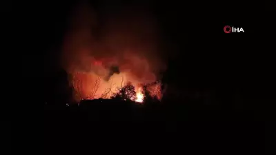 Beykoz'da orman yangını 9 saat sonra kontrol altına alındı