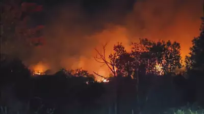 Beykoz'da orman yangını: Rüzgar alevleri yeniden büyüttü