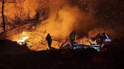 Beykoz'daki orman yangını 9 saatte kontrol altına alındı