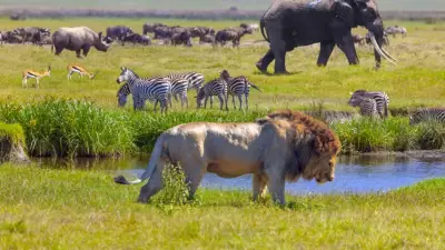 Bilim Dünyası Bu Gizemi Konuşuyor: Neden Hiçbir Memeli Mavi Doğmuyor?