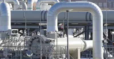 Borsa İstanbul'da Güncel Veriler: Endeks ve Döviz Kurları