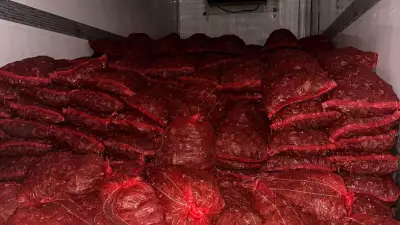 Bursa ve Balıkesir'de 10 Ton Kaçak Midye Ele Geçirildi: Halk Sağlığı Tehdidi