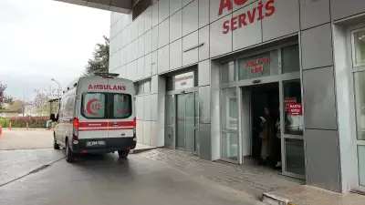 Bursa'da Akrep Sokan Kadın Hastaneye Kaldırıldı
