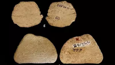 Buz Çağı'nda Şans Oyunları: 12.000 Yıllık Zar Keşfi Tarihi Değiştirdi